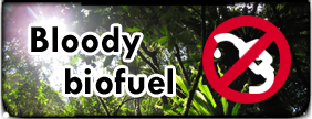 Bloody biofuel