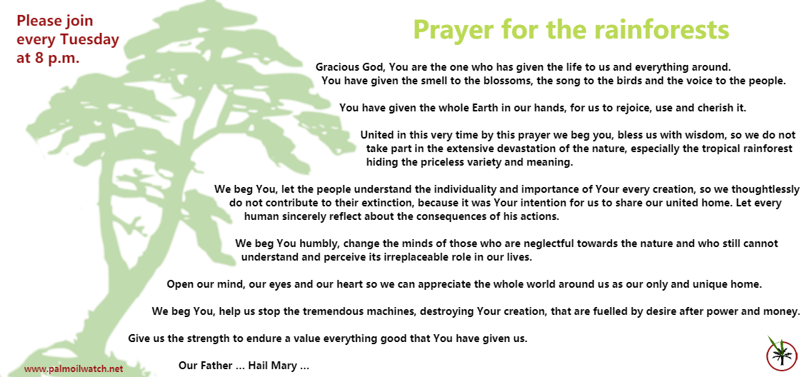 Prayer for the rainforests